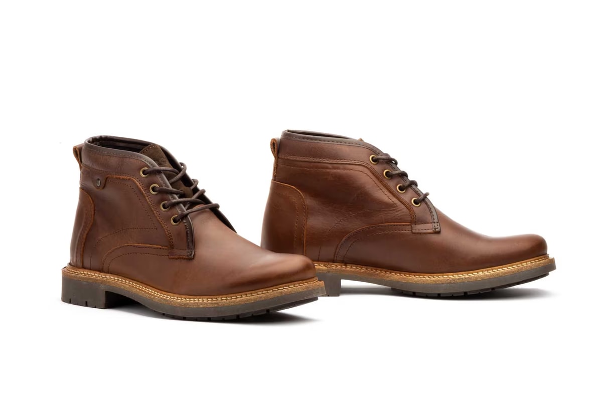 R83-T110-camel-1