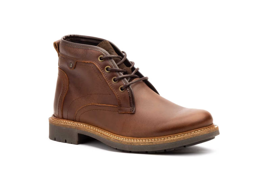 R83-T110-camel-2